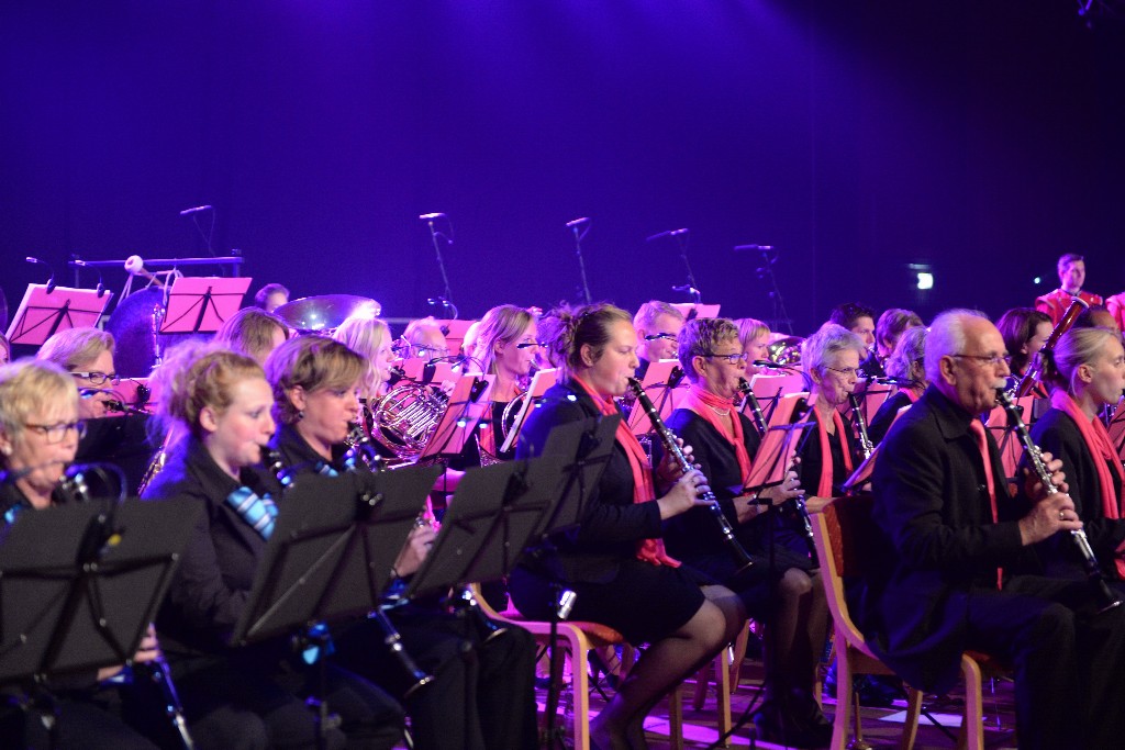 ../Images/Jubileumconcert 100 jaar Harpe Davids 044.jpg